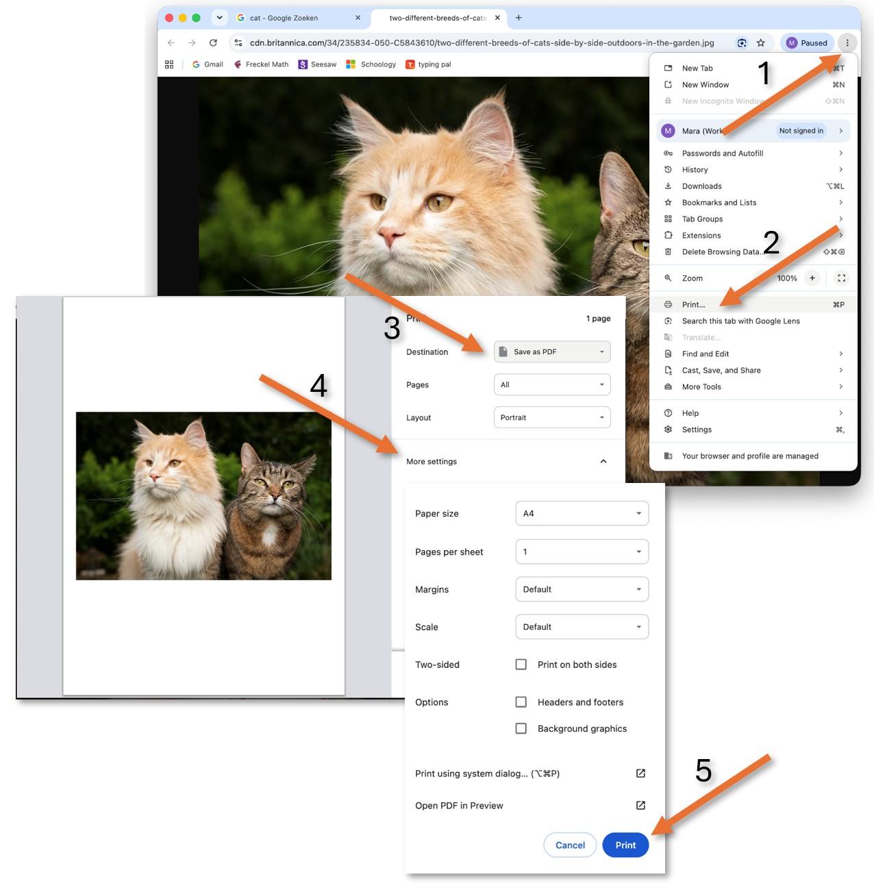 Screenshot 2026-09-16 164807.jpg